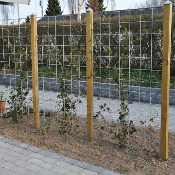 Espalier Ristikko varusteineen HORTUS