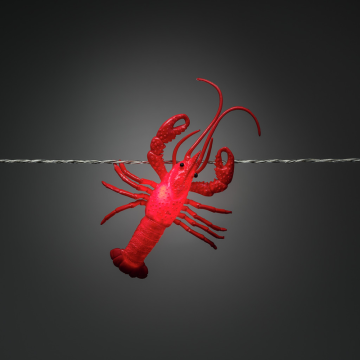 Sisätilojen valoverho Crayfish LED 4xAA Gnosjö Konstsmide